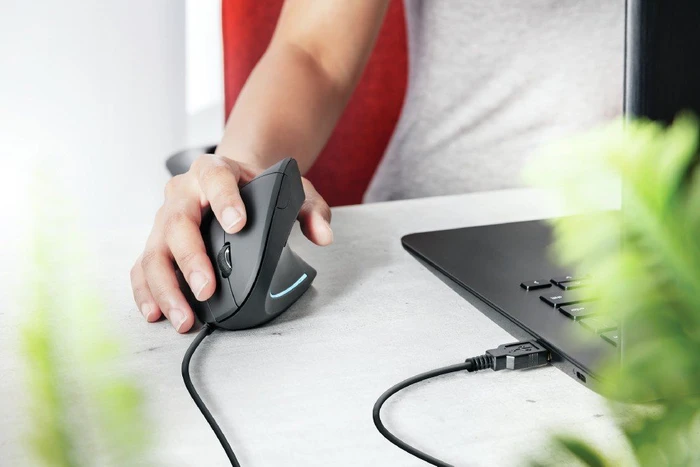 Trust Verto schwarz, USB