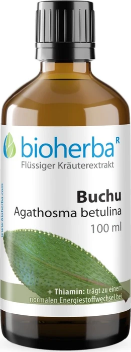 Bioherba Buchu Agathosma betulina Tropfen Tinktur, 50ml