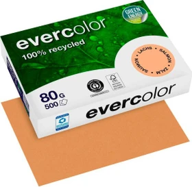 Clairefontaine evercolor Universalpapier matt lachs, A4, 80g/m², 500 Blatt