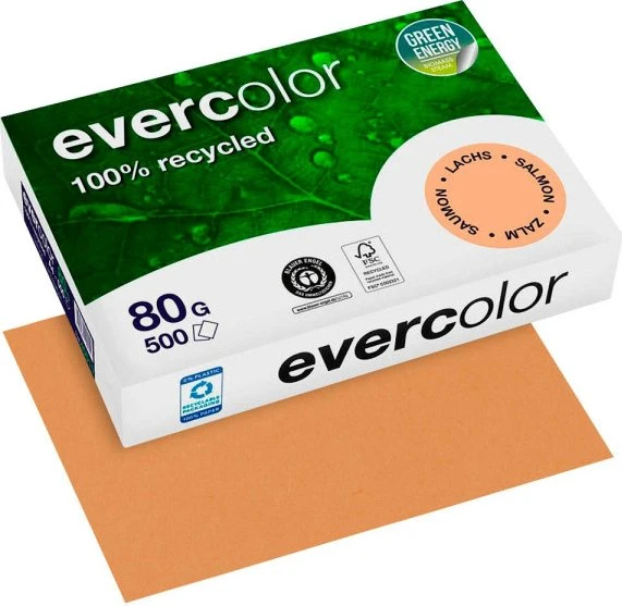 Clairefontaine evercolor Universalpapier matt lachs, A4, 80g/m², 500 Blatt