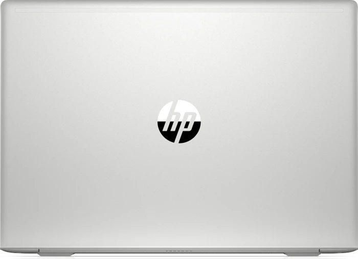 HP ProBook 450 G7, grau, Core i7-10510U, 8GB RAM, 512GB SSD, DE