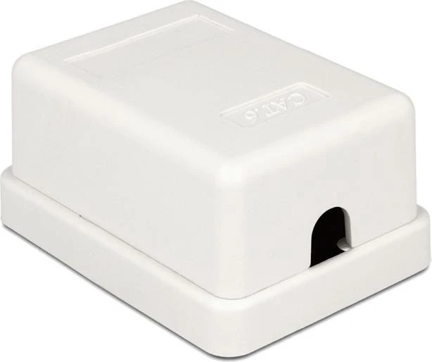DeLOCK Cat6 Anschlussdose Aufputz weiß, 1x RJ-45