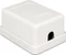 DeLOCK Cat6 Anschlussdose Aufputz weiß, 1x RJ-45 Vorschaubild