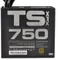 XFX TS Gold Series 750W, ATX 2.31 Vorschaubild