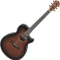 Ibanez AEG74 Vorschaubild