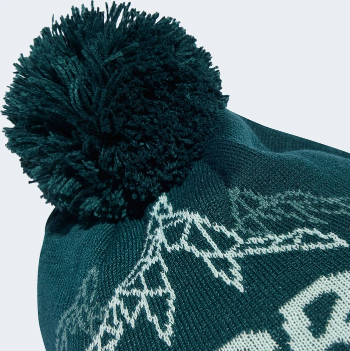 adidas Terrex Xploric Pom Pom Beanie aurora ivy