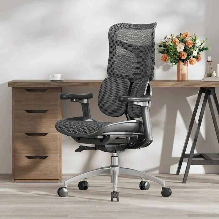 Sihoo Doro S100 Ergonomischer Bürostuhl, schwarz