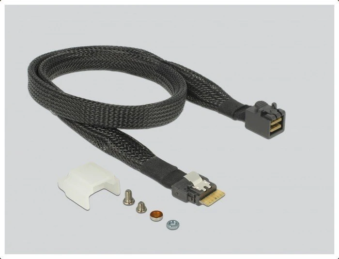 DeLOCK Slim SAS SFF-8654 -> M.2 PCIe, SATA -> M.2 SATA