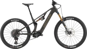 Cannondale Moterra SL 1 raw Modell 2026