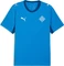 Puma Island 2026 Heimtrikot kurzarm (Herren) Vorschaubild