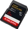 SanDisk Extreme PRO R310/W305 2TB, UHS-II, Class 10 Vorschaubild