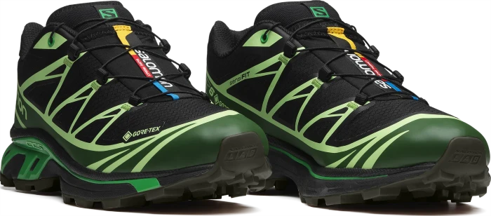 Salomon XT-6 GTX black/eden/green ash