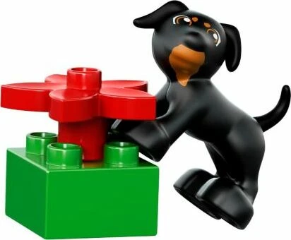 LEGO DUPLO Spielend entdecken - Große Steinebox