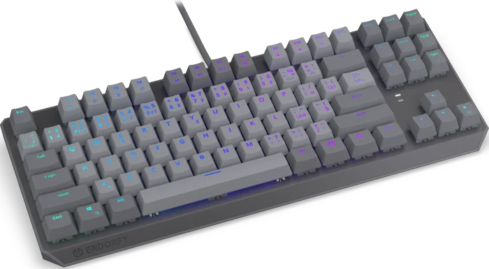 Endorfy Thock V2 TKL, PBT, grau, LEDs RGB, hot-swap, Endorfy RED, USB, CZ/SK