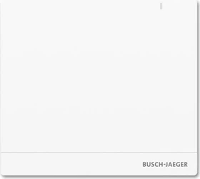 Busch-Jaeger SAP/S.13 System Access Point 2.0 (2CKA006200A0154)