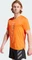 adidas Terrex Agravic Trail Laufshirt kurzarm semi impact orange/white (Herren) Vorschaubild