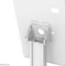 Neomounts Tischhalterung, Tablet-Stand 7.9-11", weiß Vorschaubild