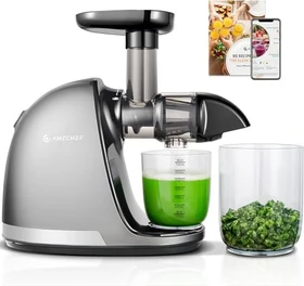 Amzchef ZM1501 Slow Juicer grau