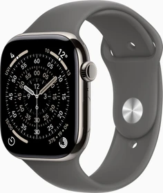 Apple Watch Series 11 (GPS + Cellular) 46mm Titan natur mit Sportarmband M/L steingrau