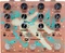 Walrus Audio Qi Etherealizer Vorschaubild