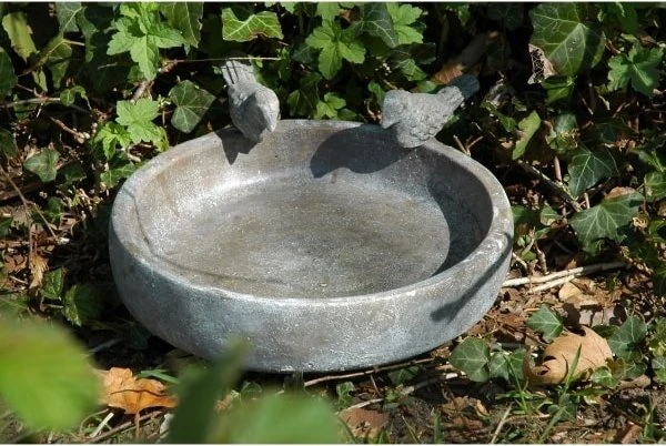 Dobar Vogeltränke Pool-Oase, Größe M