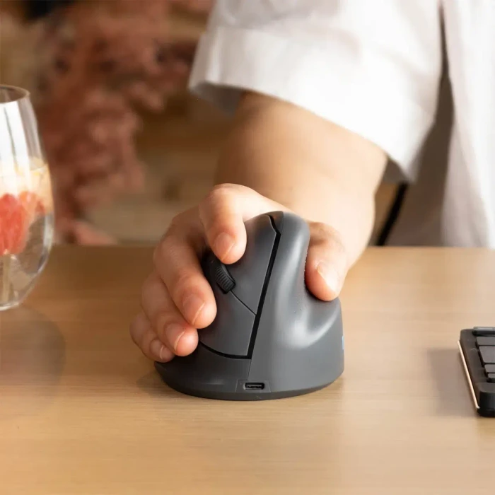 R-Go HE Basic Mouse Vertikale kabellose Maus mittel, grau, Bluetooth