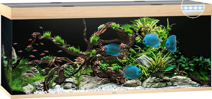 Juwel Rio 450 LED Aquarium-Set, helles Holz, 450l