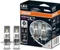 Lampen