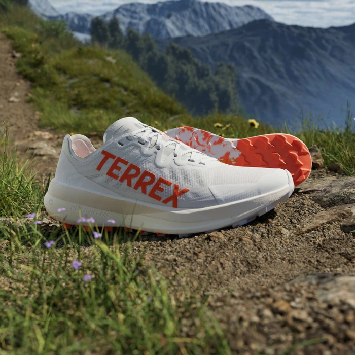 adidas Terrex Agravic Speed dash grey/impact orange/cloud white (Herren)