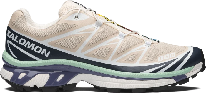 Salomon XT-6 tapioca/spellbound/lichen