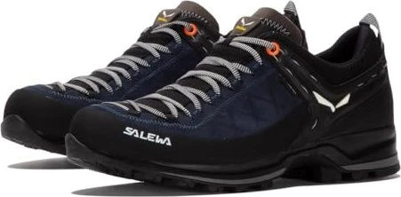 Salewa Mountain Trainer 2 GTX (Herren)