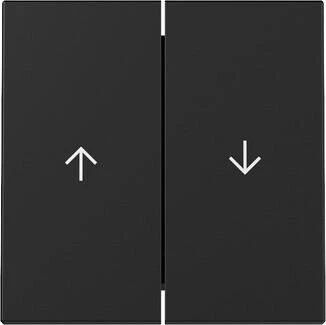 Gira Wippe 2fach mit Pfeilsymbol 3294