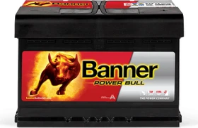 Banner Power Bull P7412