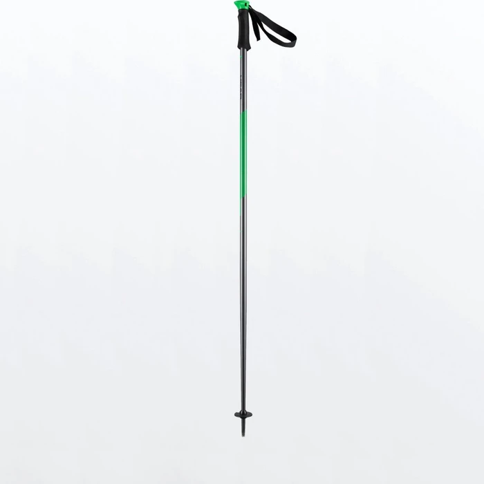 Head Multi S Alpin Skistock (Modell 2021/2022)