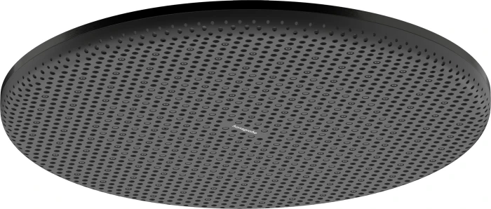 Hansgrohe Raindance Alive S Kopfbrause 300 1jet brushed black chrome