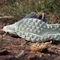 adidas Terrex Soulstride Flow linen green/off white/silver green (Damen) Vorschaubild