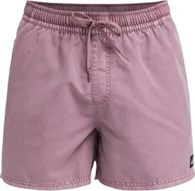Quiksilver Everyday Surfwash 15" Badeshorts grape shake (Herren)