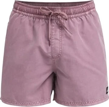 Quiksilver Everyday Surfwash 15" Badeshorts (Herren)