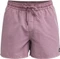 Quiksilver Everyday Surfwash 15" Badeshorts (Herren) Vorschaubild