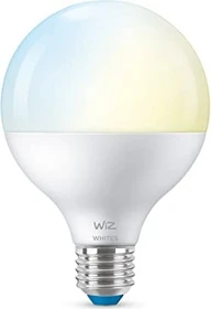 WiZ Whites LED Globe 11W E27 G95