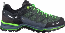 Salewa Mountain Trainer Lite GTX myrtle/ombre blue (Herren)
