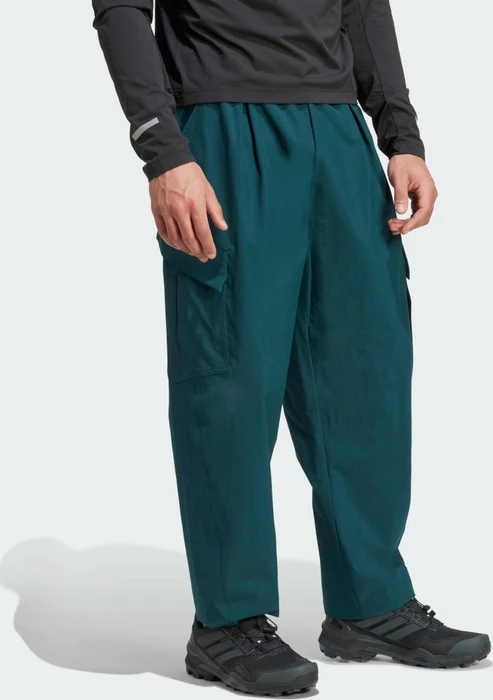 adidas Terrex Xploric Cargo Hose lang aurora ivy (Herren)