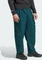 adidas Terrex Xploric Cargo Hose lang aurora ivy (Herren) Vorschaubild