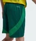 adidas Celtic FC 2024/2025 Auswärtsshorts team dark green (Junior) Vorschaubild