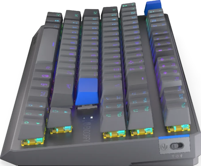 Endorfy Thock V2 TKL Wireless, PBT, grau, LEDs RGB, hot-swap, Endorfy YELLOW, USB/Bluetooth, US