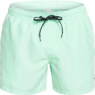 Quiksilver Everyday 15" Badeshorts (Herren)