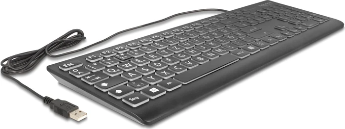 DeLOCK USB Keyboard mit XXL Buchstaben, schwarz, beleuchtet, USB, DE