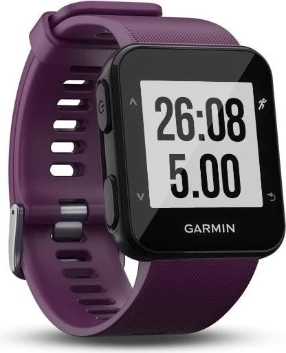 Garmin Forerunner 30 amethyst
