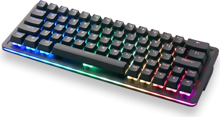 Mountain Everest 60, LEDs RGB, hot-swap, Midnight Black, Linear 45, USB, DE