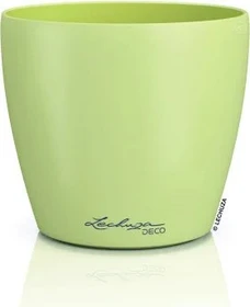 Lechuza Deco 21 linde